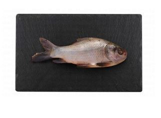 Frozen Small Whole Catla Myanmar 1kg 32 AED