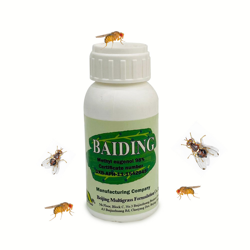 Baiding Methyl Eugenol 98% by Zahrat Al Dhaid Jadeeda