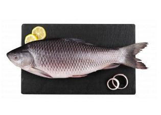 Fresh Whole rohu India local 1 kg 33 AED
