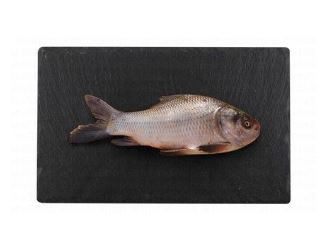 Frozen large Whole Catla myanmar 3000 grams 87 AED