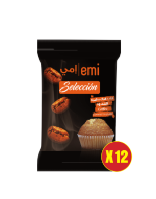 Coffee Flavour Pack of 12